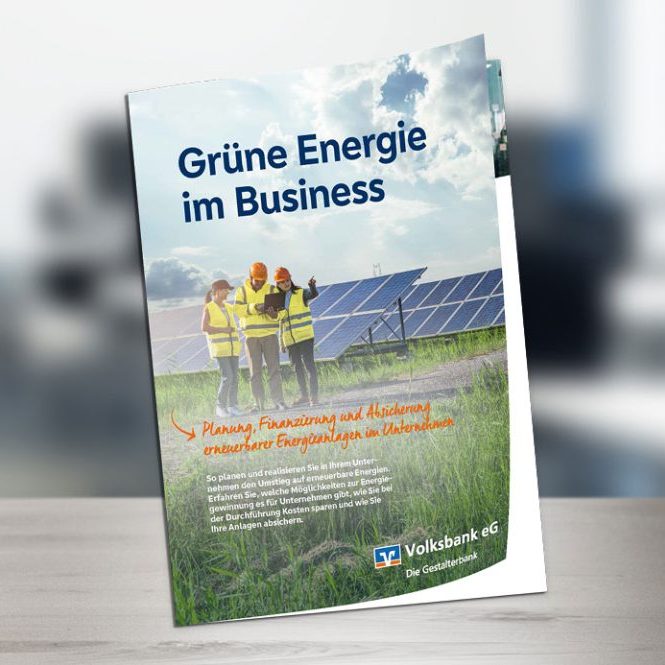 eBook – Erneuerbare Energien: Grüne Energie im Business